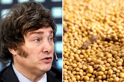 La eliminación de las retenciones es una medida no solamente positiva para los productores agropecuarios, que les permitirá crecer en el área sembrada, adoptar todas las tecnologías disponibles y aumentar así sus rendimientos, sino que la economía de Argentina se verá muy favorecida