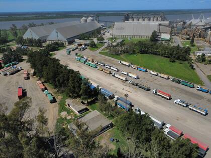 “La eliminación temporaria de las retenciones, trajo expectativas a la generación de mayor movimiento de ingreso de granos a las terminales portuarias", dijo Turín
