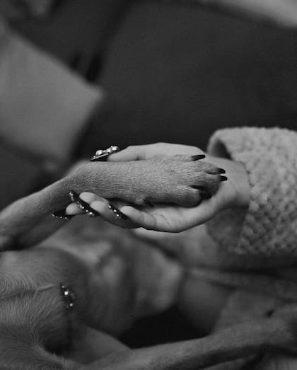 La emotiva foto que subió María Becerra a su cuenta de Instagram