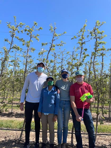 La empresa alimenta a las abejas con suplementos nutricionales a base de plantas