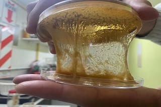 Una pyme argentina propone usar bacterias para extraer litio de la salmuera a gran velocidad