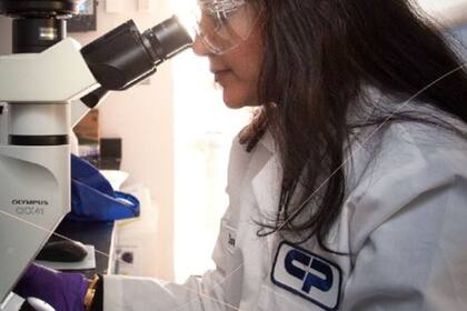 La empresa cuenta con 15 días hábiles para dar respuesta a las observaciones de la FDA. (Colgate-Palmolive)