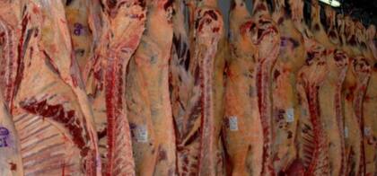 La empresa de capitales chinos espera que el Gobierno reabra las exportaciones el 19 de junio próximo para poder reanudar las actividades en la planta