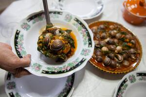 Asaltaron una granja de caracoles y se llevaron mercadería por más de US$100.000