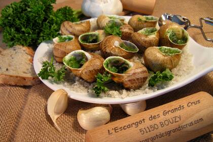 La empresa familiar L’Escargot Des Grands Crus se especializa en el producción de escargots o caracoles comestibles