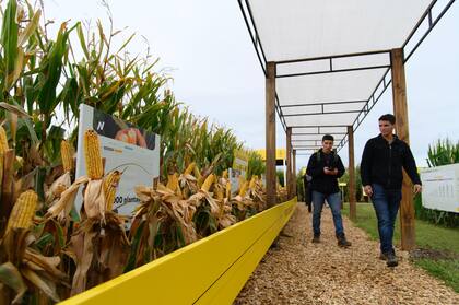 La empresa llegó con muchas novedades