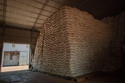 La pyme misionera exporta a China, entre otros mercados, con fuerte foco onine