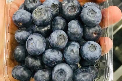 La empresa produce anualmente 2 millones de kilos de arándanos