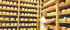 Cayeron en crisis, encontraron una salida y hacen quesos muy reconocidos por los chefs