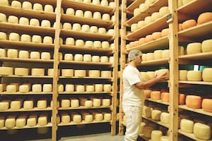 Cayeron en crisis, encontraron una salida y hacen quesos muy reconocidos por los chefs