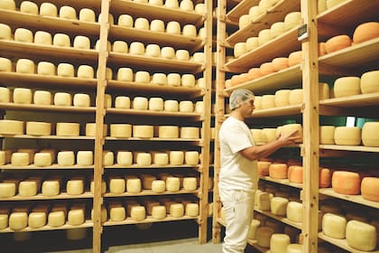 La empresa produce con leche propia y de tambos vecinos