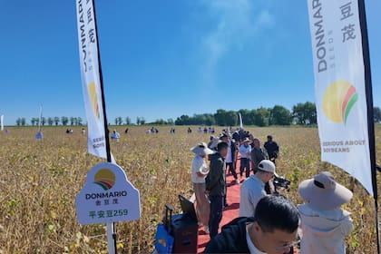 La empresa realiza jornadas demostrativas con productores y distribuidores chinos