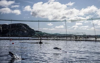 La empresa reúne información, control y gestión para agilizar tiempos