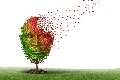 La enfermedad de Alzheimer suele asociarse a otros factores, no a la contaminación lumínica