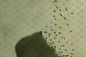 La enfermedad de Alzheimer, una de las formas más comunes de demencia, afecta a más de 50 millones de personas en todo el mundo