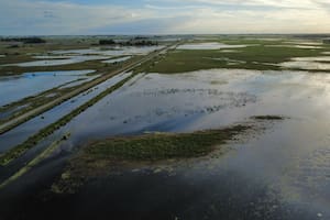 Cómo son los créditos del Banco Nación para los productores afectados