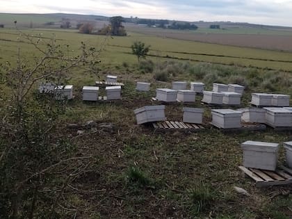 La entidad rural aseguró que el sistema actual de trazabilidad ya cumple con los estándares internacionales
