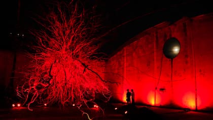 La entrada a la muestra es totalmente gratuita