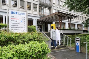 Un primer análisis genético del hantavirus del crucero confirma que es de la variante Andes