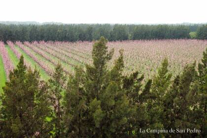 La entrada general permite visitar todas las instalaciones por medio de visitas guiadas