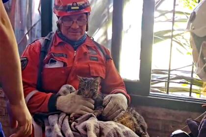 La envolvieron en una manta y un bombero la sacó de la escena de búsqueda para que fuera trasladada al área de Zoonosis de la municipalidad