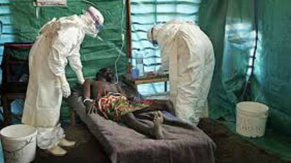 La epidemia de ébola explotó en 2014 y fue controlada este año