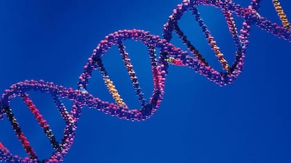 La epigenética estudia los mecanismos que activan o desactivan los genes sin alterar la secuencia de ADN. Existen champúes epigenéticos que mejoran, regulan y solucionan los problemas capilares más comunes