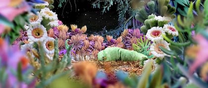 "La epopeya de la crisálida" (2019), obra de Flavia Da Rin que integrará la muestra "Bosques umbral"