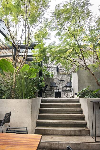 La escalera escoltada por jacarandás multitronco. Se genera así una bóveda verde al atravesarla.