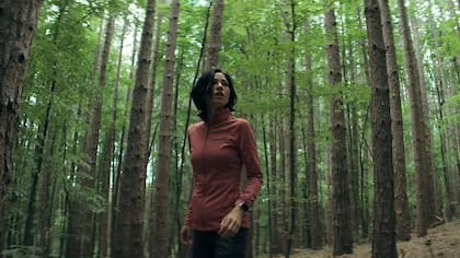 La escalofriante cinta estadounidense recibió buenas críticas de parte de los expertos (Foto: Netflix)