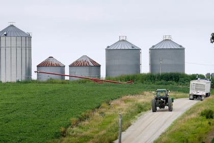 La escasez de campos en venta empieza a generar presión sobre los valores en varias zonas