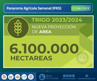 La escasez de humedad provoca una disminución de 200.000 hectáreas en la superficie de trigo para la campaña 2023/24