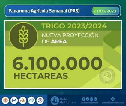 La escasez de humedad provoca una disminución de 200.000 hectáreas en la superficie de trigo para la campaña 2023/24
