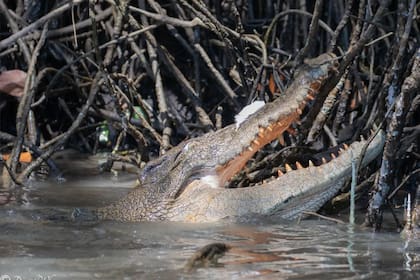 La escena causó furor y no pasó desapercibda
