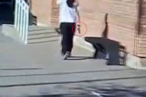 La escuela Marcelino Blanco, en La Paz, fue el escenario del incidente