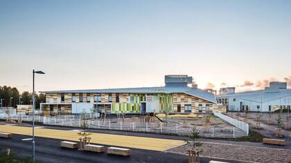 La escuela primaria es prácticamente una época libre de evaluaciones