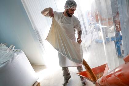 La espelta, es el grano que define su identidad a la hora de la fabricación.