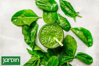 La planta que levanta la energía en días de calor y crece sin esfuerzo en el jardín