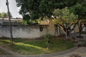 Un gallo desató la locura: un vecino salió indignado a los tiros porque no lo dejaba dormir la siesta