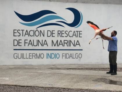 La Estación de Rescate de Fauna Marina Guilermo Indio Fidalgo