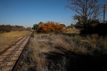 La estación de tren fue desmantelada y donde antes se hallaba el andén hoy crece el pastizal