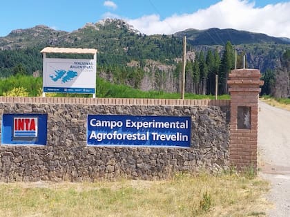 La Estación Experimental del INTA en Trevelin
