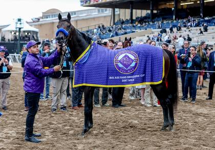 La estampa de Full Serrano, ya con la manta de ganador de la Breeders' Cup Dirt Mile (G1), en Del Mar.