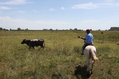 La estancia tiene 950 hectáreas productivas y los huéspedes pueden presenciar los trabajos de campo.