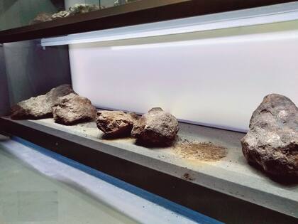 La estantería de meteoritos, ya sin las piezas sustraidas
