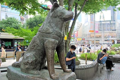 La estatua que recuerda a Hachiko