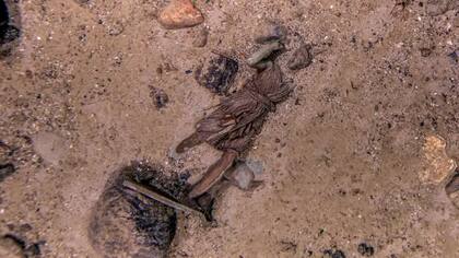 La estatuilla de bronce se encontró en el campo de escombros que rodea el naufragio. (Foto: RMS Titanic Inc)