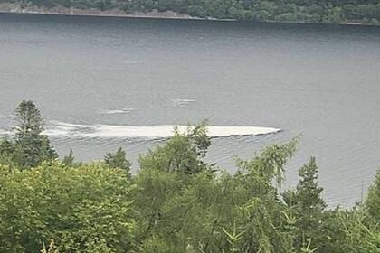 La estela que habría dejado Nessie en la superficie del Lago Ness, retratada por Siobhan Janaway