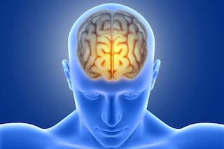 Investigadores argentinos exploran cómo la luz y el sonido podrían reactivar neuronas en cerebros envejecidos