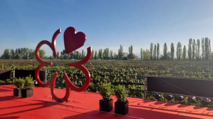 La estrella Michelin con los viñedos mendocinos y la cordillera como telón de fondo